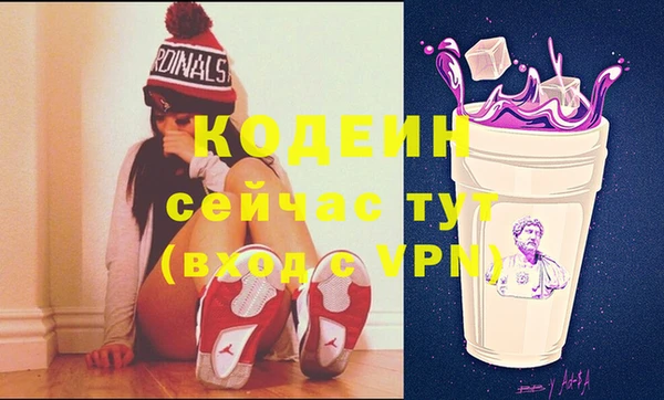 мдпв Абаза