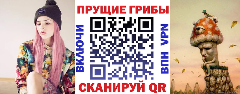 Галлюциногенные грибы прущие грибы  OMG как зайти  Зерноград  магазин  наркотиков 