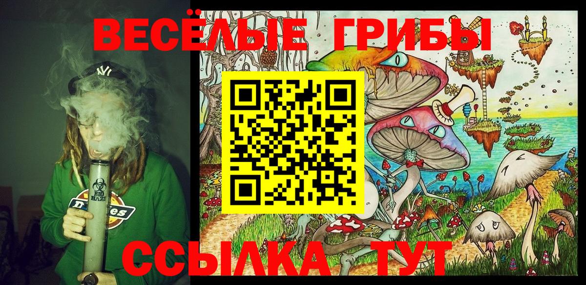 Зерноград  Псилоцибиновые грибы мухоморы  Псилоцибиновые грибы ЛСД  как найти наркотики  Вход с VPN 