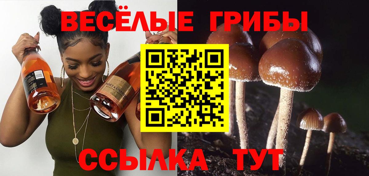 Галлюциногенные грибы GOLDEN TEACHER Зерноград